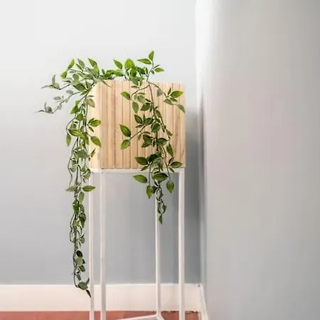 The House Of 14 -central, Sauna And Airport Shuttle Appartement Stavanger